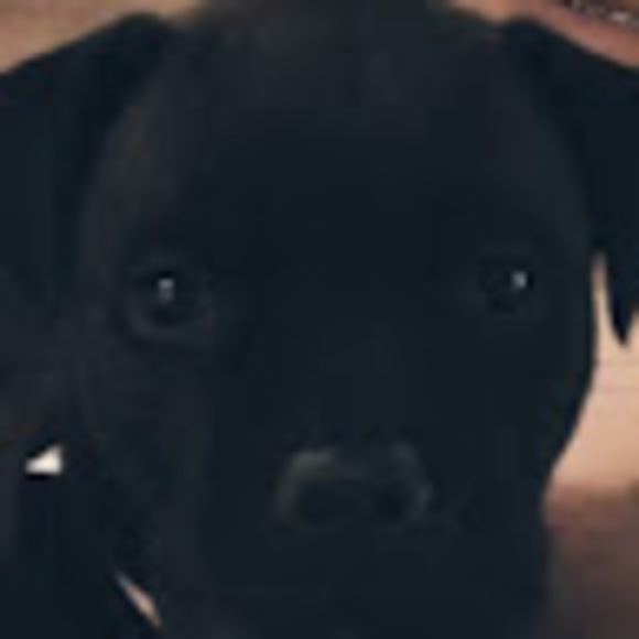 Meet your Posher, Chris - Picture 1 of 1